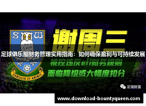 足球俱乐部财务管理实用指南:如何确保盈利与可持续发展 足球俱乐部财务管理实用指南:如何确保盈利与可持续发展